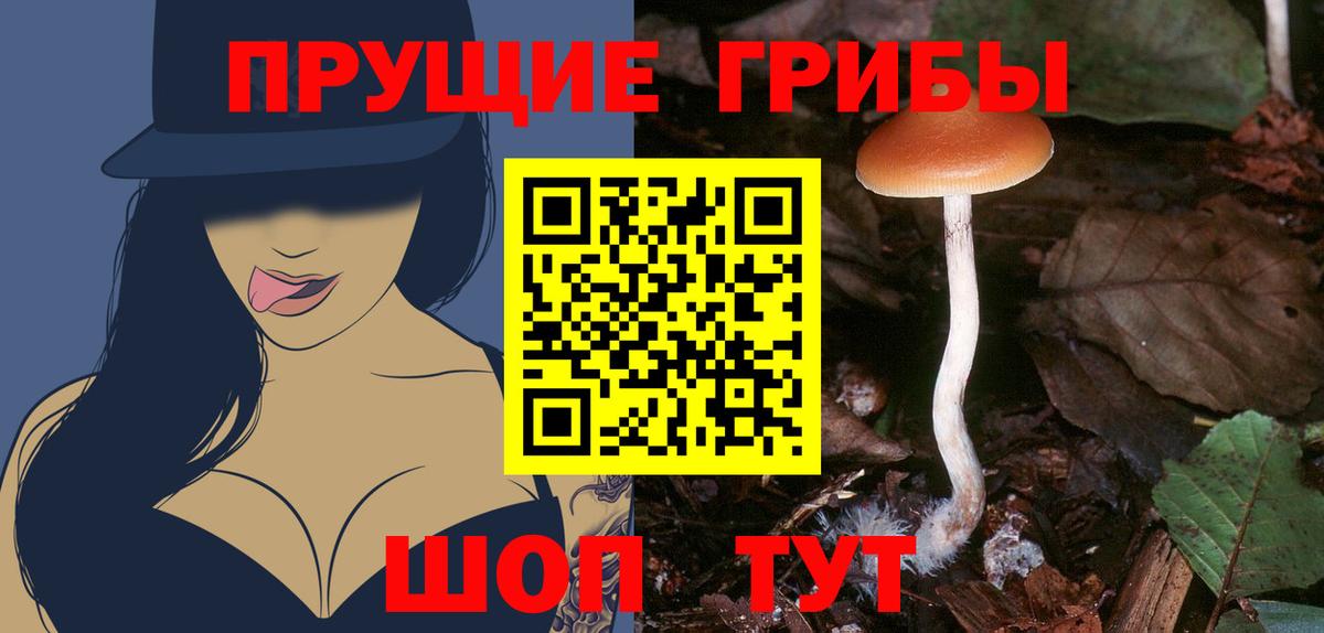 Псилоцибиновые грибы Cubensis  Галлюциногенные грибы GOLDEN TEACHER  где найти   Воркута  Вход с VPN 