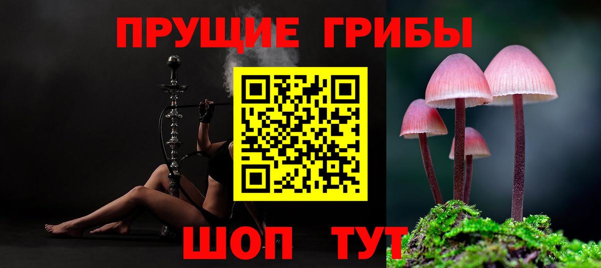 Галлюциногенные грибы MAGIC MUSHROOMS Воркута